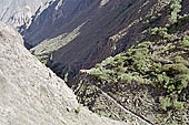 Colca Canyon